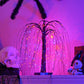 📢📢50% OFF !! ⏰Halloween Tree Lights