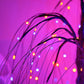 📢📢50% OFF !! ⏰Halloween Tree Lights