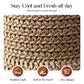🥳SUMMER HOT SALE🥳💞50K+ SOLD!💥50% OFF! 🔥 Elegant Woven Straw Sun Hat with Bow – Breathable, Foldable & Perfect for Beach & Travel 👒