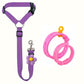 🐕‍🦺Last Day Special Price:£ 7.99!!!🔥2-in-1 Dog Car Seat Belt & Walking Leash🐶🚗