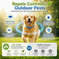 📢📢50% OFF !! ⏰ Natural Essential Oil Flea Collar – Repels Bugs, Not Safe for Pup. 🐶