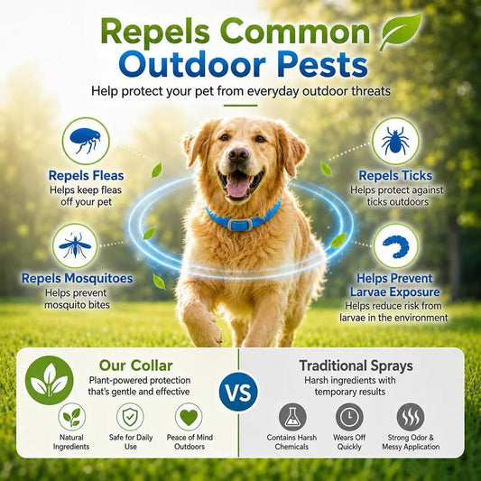 📢📢50% OFF !! ⏰ Natural Essential Oil Flea Collar – Repels Bugs, Not Safe for Pup. 🐶