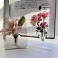 📢📢50% OFF !! ⏰Photo Frame Shaped Clear Flower Vase