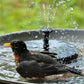 🔥Last day of the limited-time 50% off sale🔥Compact Solar Bird Fountain Pump – Keep Your Garden Alive! 🐦️