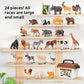 📢📢50% OFF !! ⏰28PCS Simulation Animal Models - Exploring the Fantasy Animal World