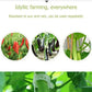 🔥HOT SALE🔥Clips for climbing plants – Plastic tomato ties and plant fasteners 🌱🍅