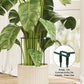 🔥50％ OFF🔥Plant Support Stakes for Indoor & Outdoor Use