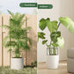 🔥50％ OFF🔥Plant Support Stakes for Indoor & Outdoor Use
