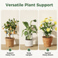 🔥50％ OFF🔥Plant Support Stakes for Indoor & Outdoor Use