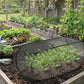 ⏳Limited-time 50% off⏰Foldable Pop-Up Plant Mesh Cover – Guard Plants Grow Better! ✨