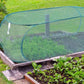 ⏳Limited-time 50% off⏰Foldable Pop-Up Plant Mesh Cover – Guard Plants Grow Better! ✨