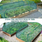 ⏳Limited-time 50% off⏰Foldable Pop-Up Plant Mesh Cover – Guard Plants Grow Better! ✨