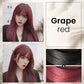 🔥2026 HOT SALE🔥 Colorful Plant Hair Dye – With Innovative Comb Applicator!🌈