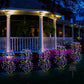 🔥2026 New Arrival🔥Solar Powered Outdoor Decor Lights – Beautiful Garden & Pathway Ambiance