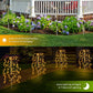 🔥2026 New Upgrade ＆ Hot Sale🔥 Solar Garden Lights Outdoor Decor – 100 LEDs, IP55 Waterproof & Easy Install – Auto on/off, energy-saving & perfect for patios, yards or pathways 🌙