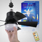 🔥2026 New Arrival🔥2-in-1 Portable Ceiling Fan & Light With Remote Control
