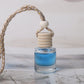 🔥 Hot sale 50% OFF🔥Mini Hanging Essential Oil Fragrance for Car Interiors