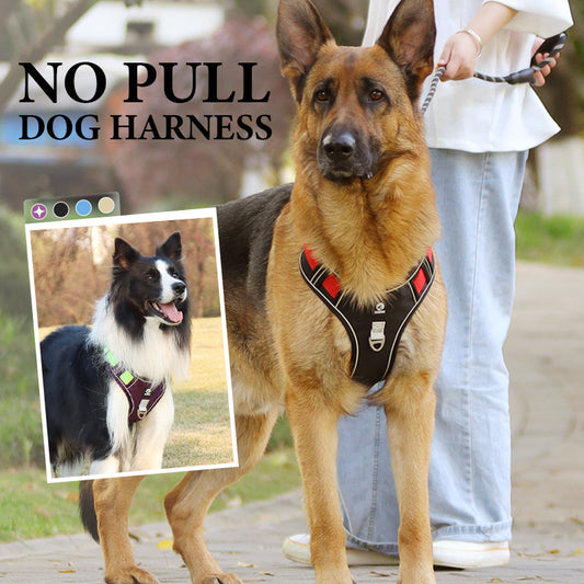🔥2026 New Upgrade ＆ Hot Sale🔥No Pull Dog Harness with Leash & Collar LED