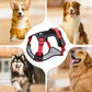 🔥2026 New Upgrade ＆ Hot Sale🔥No Pull Dog Harness with Leash & Collar LED