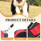🔥2026 New Upgrade ＆ Hot Sale🔥No Pull Dog Harness with Leash & Collar LED