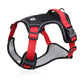 🔥2026 New Upgrade ＆ Hot Sale🔥No Pull Dog Harness with Leash & Collar LED