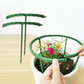 🔥2026 New Arrival ＆ Hot Sale ＆ 50％ Off🔥 Plant Grow Rings ✅ Interlocking Support & Easy Setup | Keep Plants Upright Fast 🌱