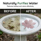 🔥2026 New Upgrade ＆ Hot Sale🔥Universal Fit Bird Bath Purifier