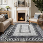🔥Last day of the limited-time 50% off sale🔥Non-Slip Low Pile Area Rug