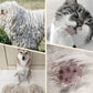 🚨Limited Time 50% Off 🐾Double Sided Pet Grooming Brush