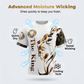 📢📢50% OFF !! ⏰ Men's Lion Graphic Set – Bold, Breathable, Urban Cool 😎