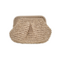 🌸 40% OFF NOW! 🌸 Handwoven Straw Handbag for Women