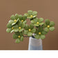 📢📢60% OFF !! ⏰Everlasting Ceramic Floral Decoration