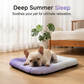 📢📢50% OFF !! ⏰Cooling Gel Mat for Pets Summer Heat Relief Pad Breathable Non