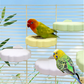 📢📢40% OFF !! ⏰Cute Cloud-Shaped Bird Perch Platform