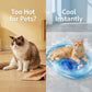 📢📢40% OFF !! ⏰Inflatable Cooling Water Bed for Cats