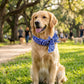 🐶🐱❄️Summer Pet Cooling Collar Wrap