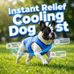 📢📢40% OFF !! ⏰🐶🐱❄️Cooling Dog Vest