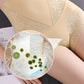 🌸 50% OFF NOW! 🌸Women’s Butt-Lifting Tummy-Control High-Waist Panties✨