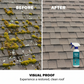📢📢50% OFF !! ⏰Multi-Surface Roof Moss & Algae Cleaner Spray