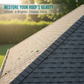 📢📢50% OFF !! ⏰Multi-Surface Roof Moss & Algae Cleaner Spray