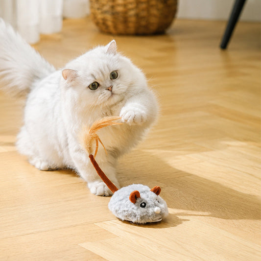 📢📢50% OFF !! ⏰Smart Electric Cat Toy Mouse
