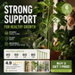 📢📢50% OFF !! ⏰Support frame to prevent drooping flowers, suitable for indoor potted plants, and outdoor garden vegetables.