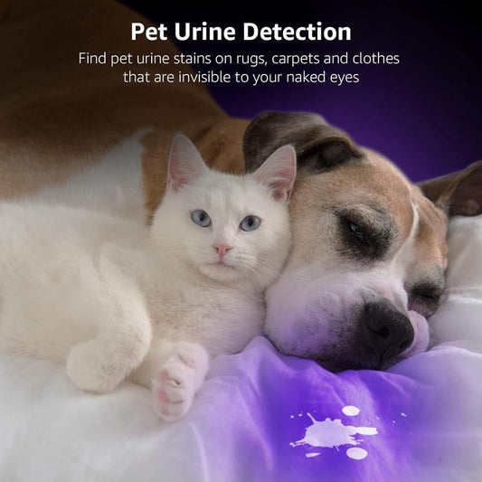 📢📢50% OFF !! ⏰High-Power LED UV Blacklight Flashlight